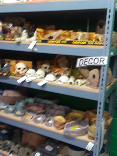 Pet Store «CUSTOM CREATURES PET SHOP», reviews and photos, 10727 N 19th Ave, Phoenix, AZ 85029, USA