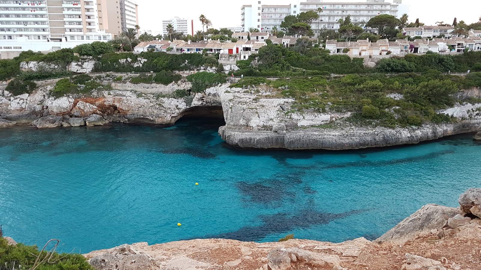 Photo de Beach Cove avec petite baie