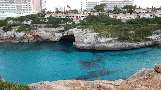 Beach Cove