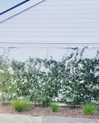 Kristin Leigh Design - Photo 3 - Car repair in , Mission Viejo