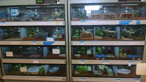 Pet Supply Store «Petco Animal Supplies», reviews and photos, 1574 N Dupont Hwy #300, Dover, DE 19901, USA