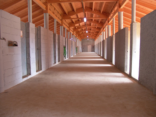 Gossos i Gossets - Mont-roig del Camp