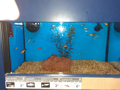 Pet Supply Store «Petco Animal Supplies», reviews and photos, 188 Kitts Ln, Newington, CT 06111, USA