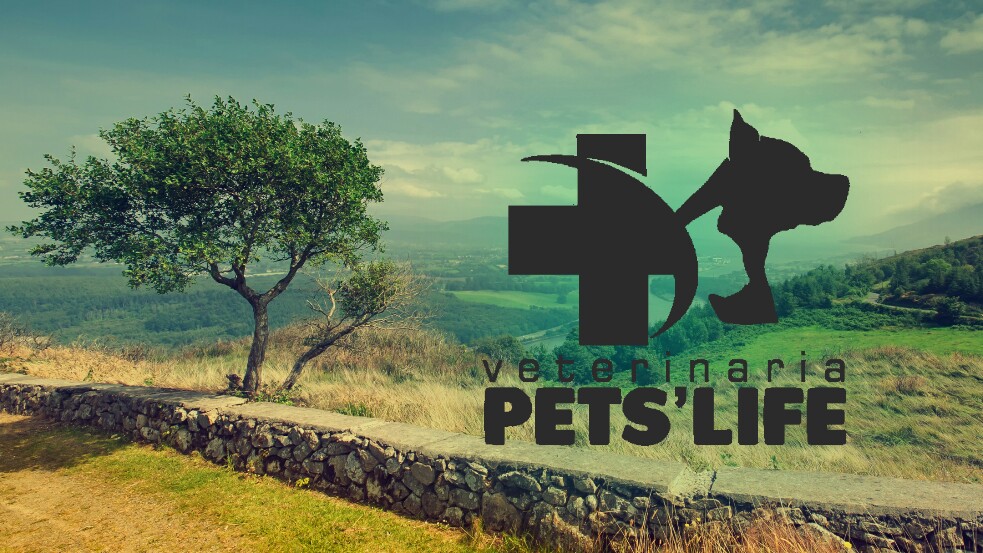 Veterinaria Pets Life Piura