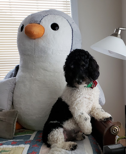 Pet Supply Store «PetSmart», reviews and photos, 3045 Festival Way, Waldorf, MD 20601, USA