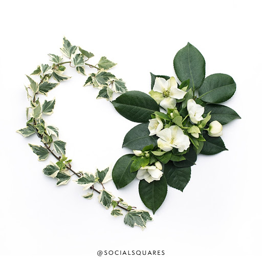 Florist «Florist Fire», reviews and photos, 716 S Village Cir, Tampa, FL 33606, USA