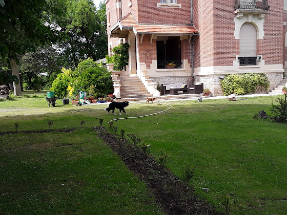 Extérieur Bed & breakfast Chateau Mezger 82290 Albefeuille-Lagarde