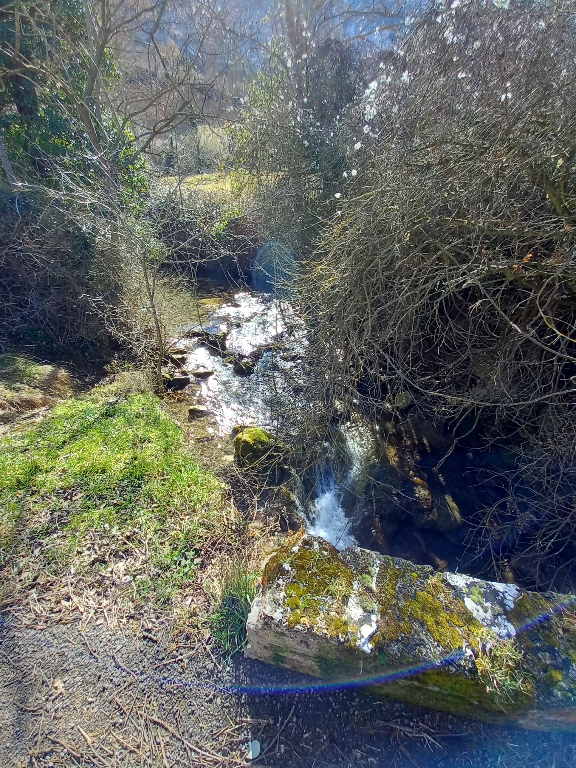 Photo n° 1 de l'avis de Florian.3 fait le 18/02/2022 à 16:56