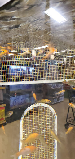 Pet Supply Store «Pet Supplies Plus», reviews and photos, 410 Springfield Ave, Berkeley Heights, NJ 07922, USA