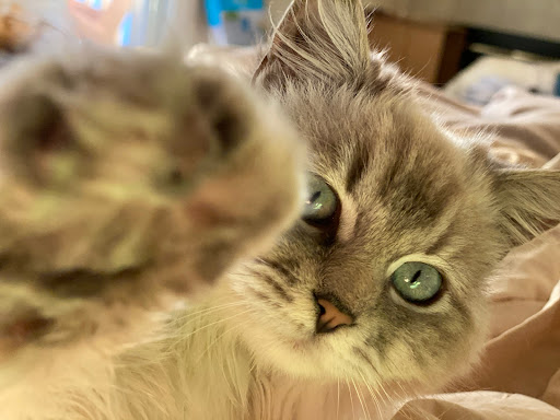 910 Jefferson Blvd, West Sacramento, CA 95691, USA