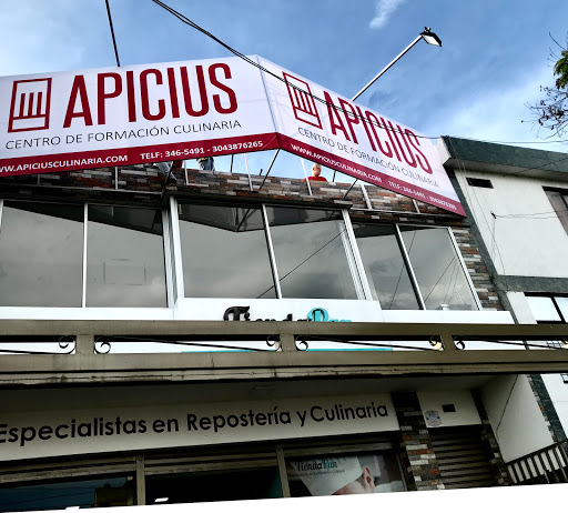 APICIUS segundo piso diagonal 23 #10b-131