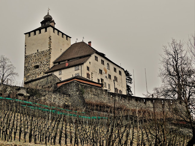 Schloss Werdenberg - Kulturzentrum