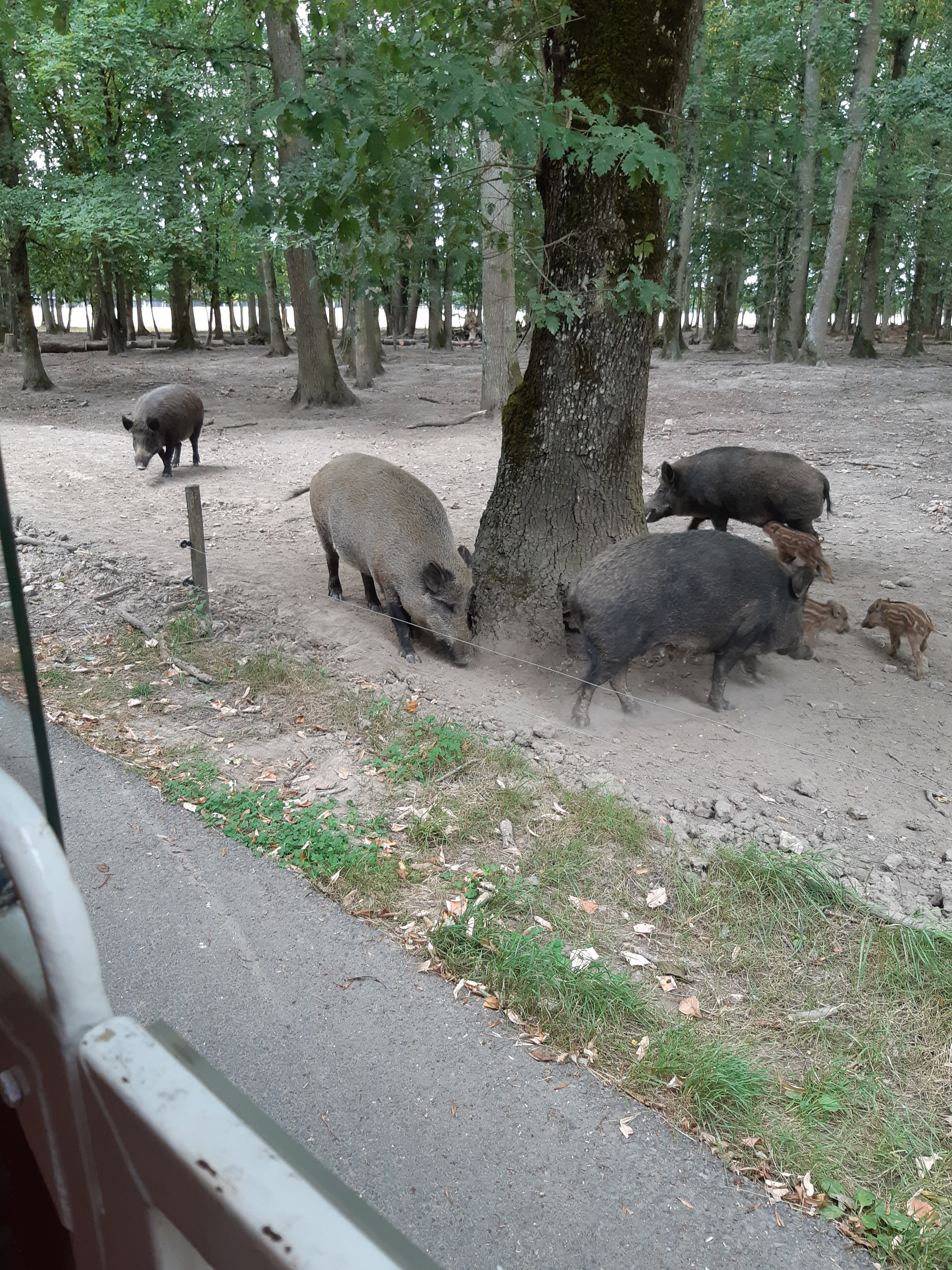 Photo n° 4 de l'avis de Carla.a fait le 10/08/2018 à 15:54