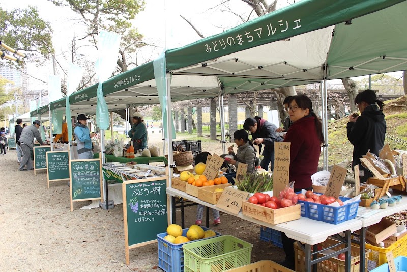 舞鶴公園 みどりのまちマルシェ