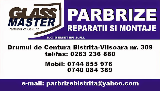 Demeter srl - Service auto