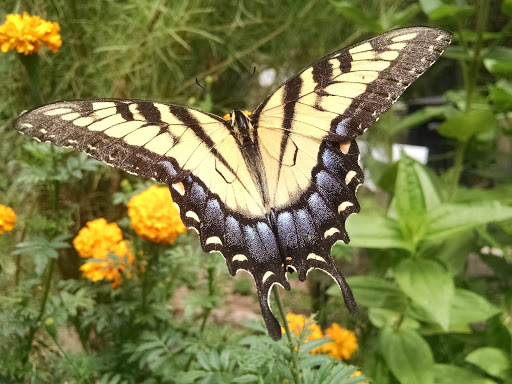 Park «Potomac Overlook Regional Park», reviews and photos, 2845 Marcey Rd, Arlington, VA 22207, USA