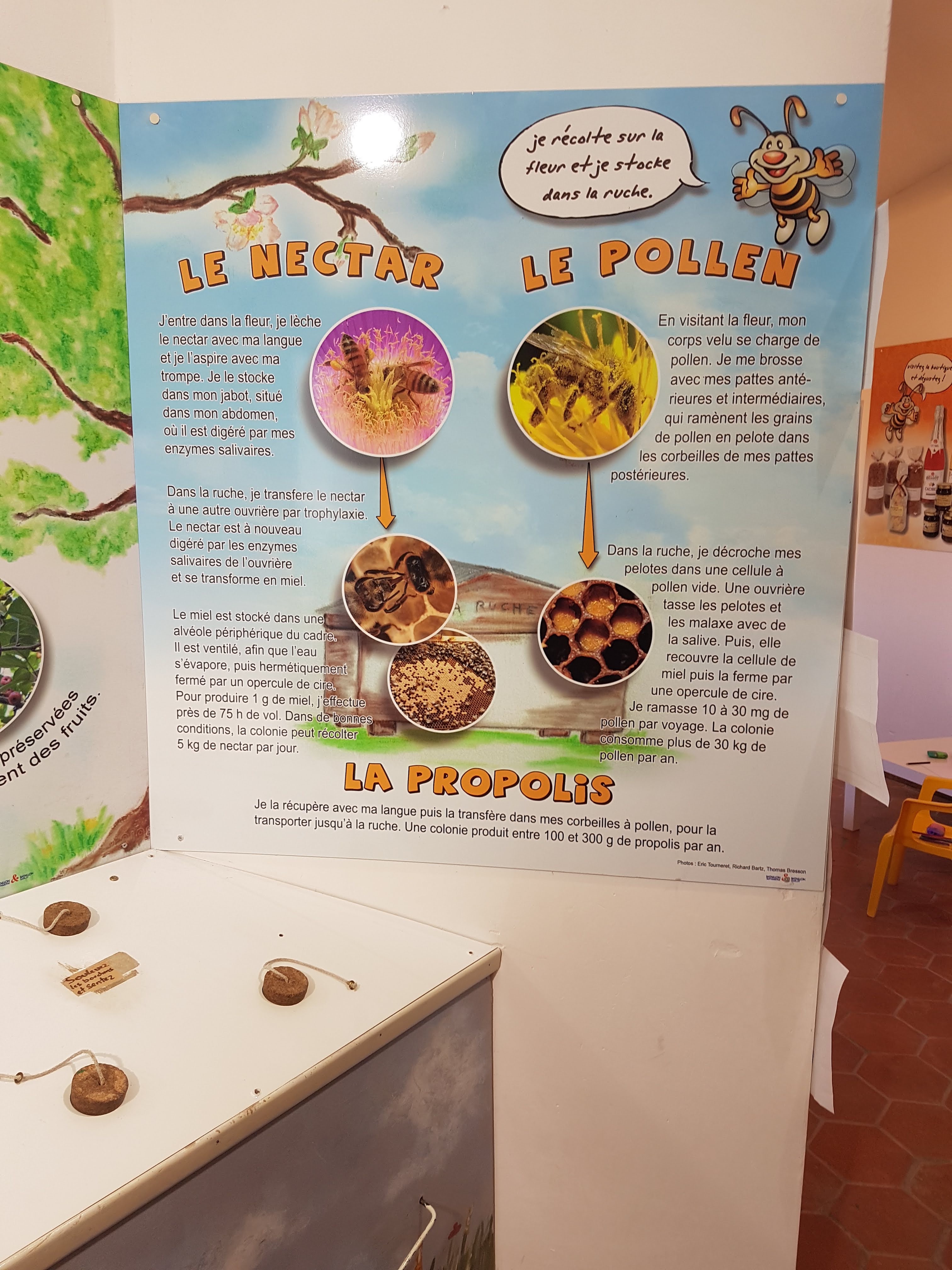 Photo n° 3 de l'avis de Remy.u fait le 17/08/2018 à 16:18