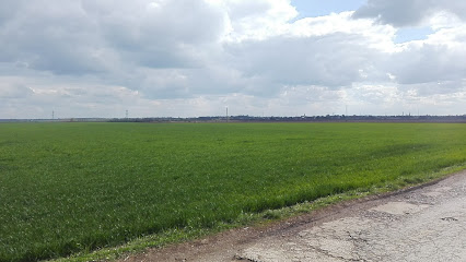Družstevná Cesta Biely Kostol Cifer