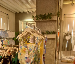 Stradivarius Altama Tampico photo