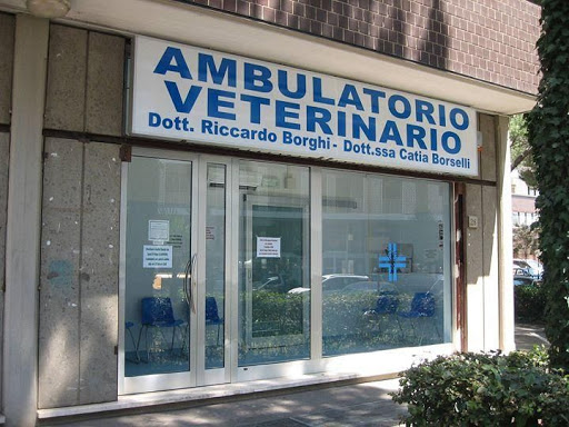 Ambulatorio Veterinario Firenze Nova Dei Dottori Riccardo Borghi & Catia Borselli