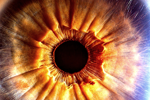 Kniaziew Optometry image