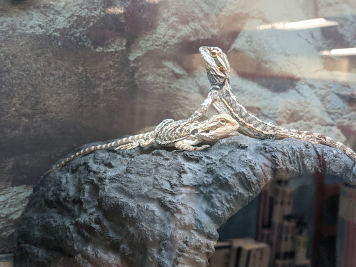 Pet Supply Store «Petco Animal Supplies», reviews and photos, 177 W Ventura Blvd, Camarillo, CA 93010, USA