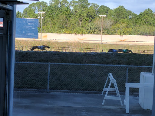 Car Racing Track «Melbourne Greyhound Park casino», reviews and photos, 1100 N Wickham Rd, Melbourne, FL 32935, USA