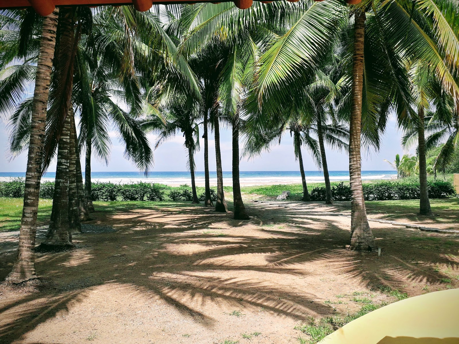 Fotografija Playa Buenavista z dolga ravna obala