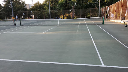 Hiawatha Tennis Courts