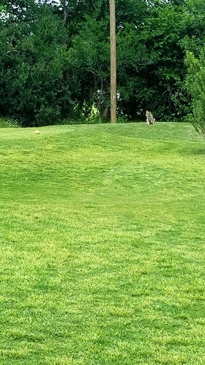 Golf Course «Mesquite Municipal Golf Course», reviews and photos, 825 W Interstate 30, Mesquite, TX 75150, USA