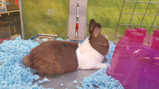 Pet Supply Store «PetSmart», reviews and photos, 310 NJ-36, West Long Branch, NJ 07764, USA