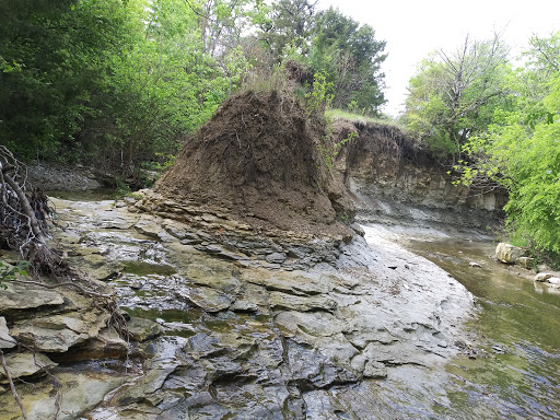 Park «Community Park - Shawnee Park», reviews and photos, 3380 Sherwood Dr, Plano, TX 75074, USA