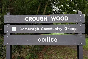 Crough Wood image