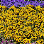 Photo n°2 de l'avis de Peter.f fait le 18/05/2022 à 20:41 sur le  Banter Ruine à Wilhelmshaven