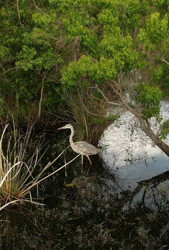 Golf Course «Lost Key Golf Club», reviews and photos, 625 Lost Key Dr, Pensacola, FL 32507, USA