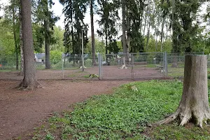 Kurkelan koirapuisto image