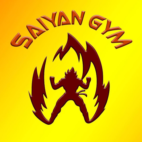 Saiyan Gym-Dragasani - <nil>