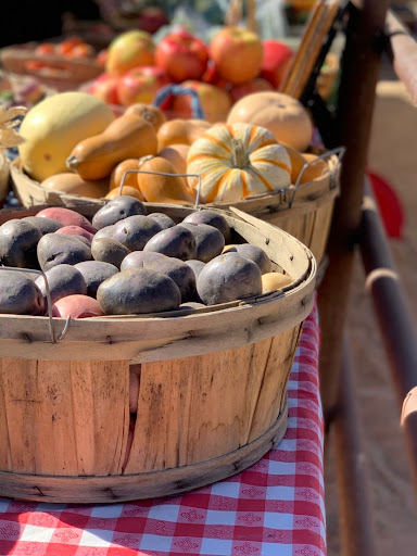 Farmers Market North Scottsdale, DC Ranch