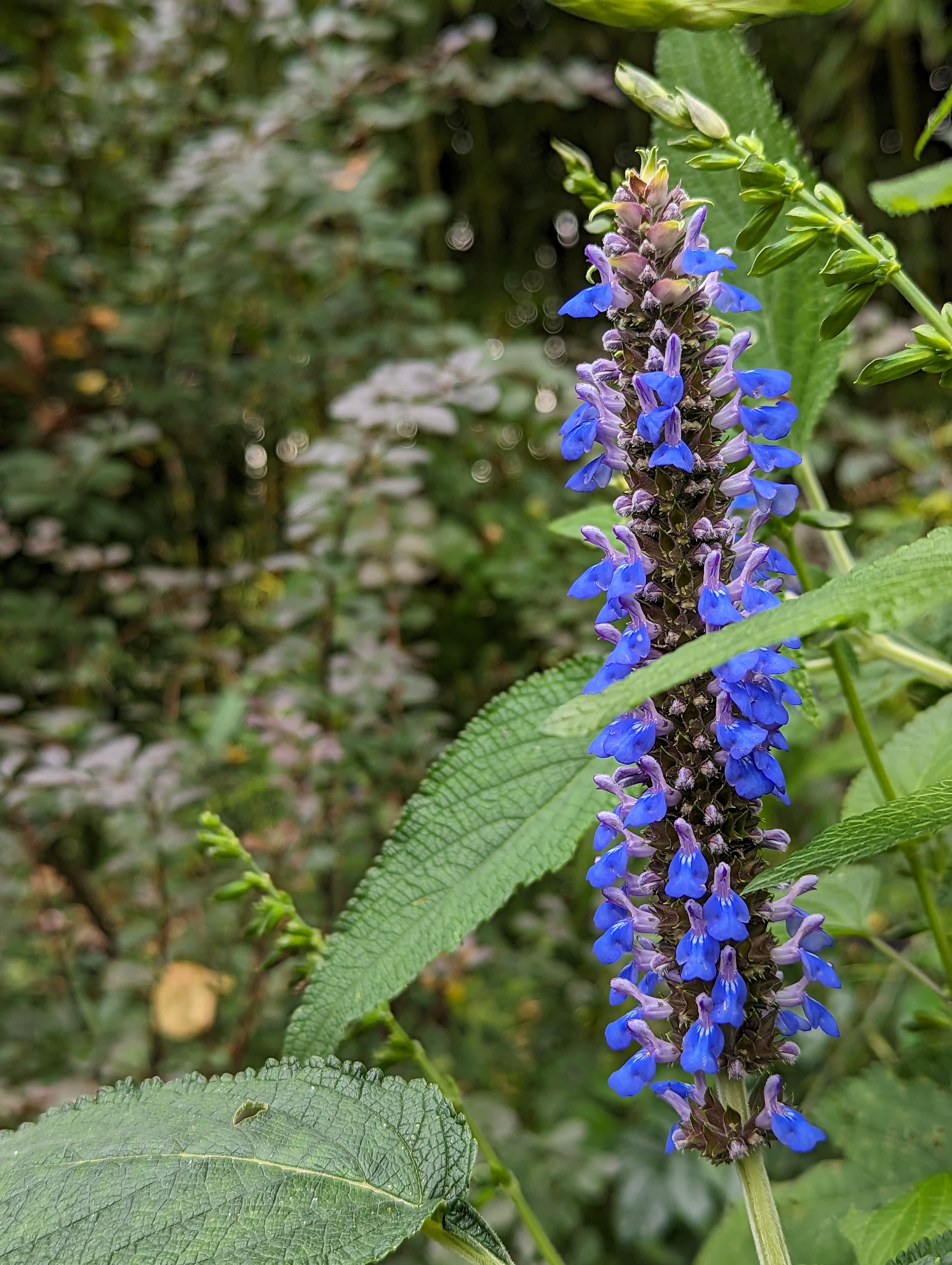 Photo n° 4 de l'avis de Salima.l fait le 05/11/2023 à 22:12