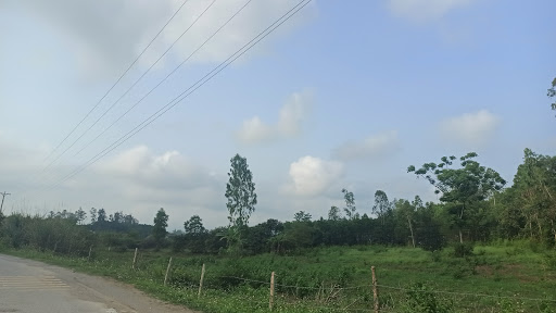 Dốc Ngạn