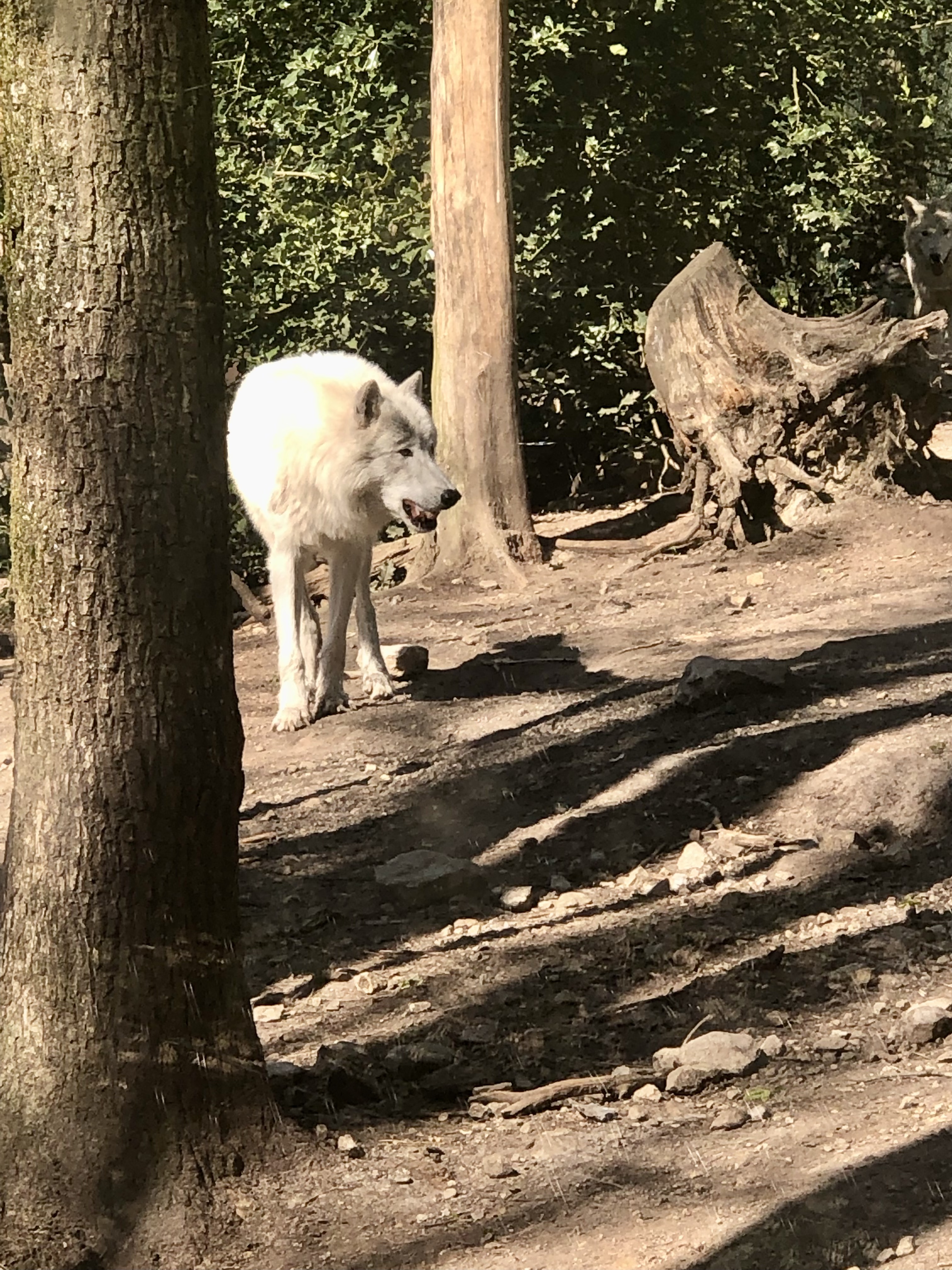 Photo n° 3 de l'avis de Ophelie.r fait le 19/04/2022 à 10:25