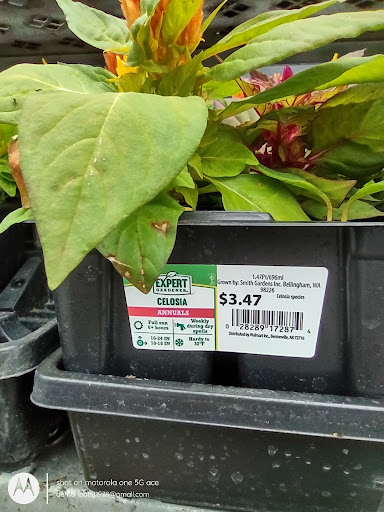 Department Store «Walmart Supercenter», reviews and photos, 14505 NE Fourth Plain Blvd, Vancouver, WA 98682, USA