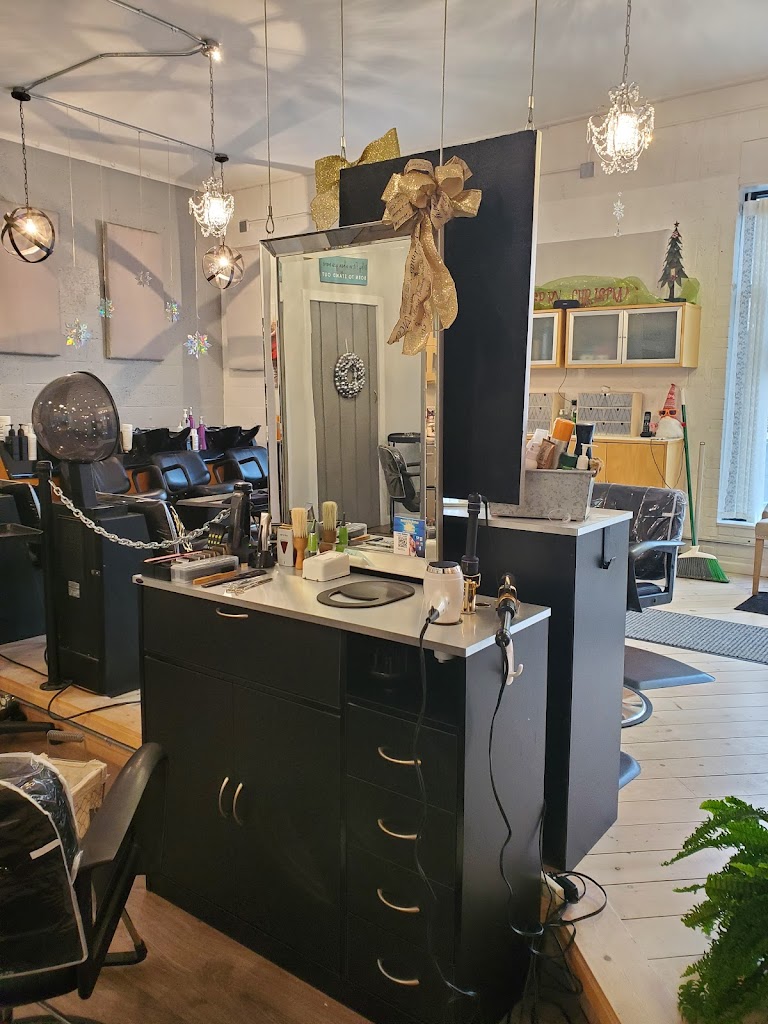 The Salon 49417