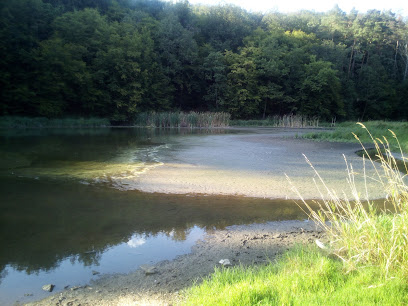 Bezejmenný rybník na Ponávce
