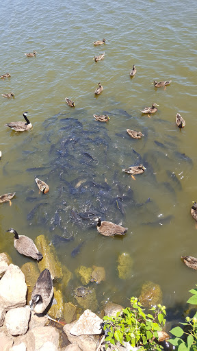 Zoo «Oklahoma City Zoo», reviews and photos, 2000 Remington Pl, Oklahoma City, OK 73111, USA