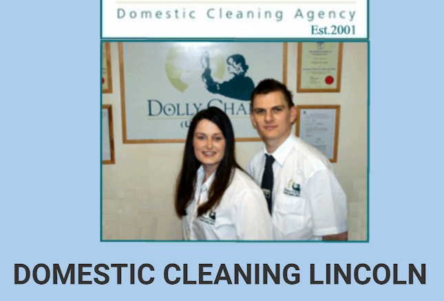 Dolly Char Domestic Cleaner Lincoln - House cleaning service