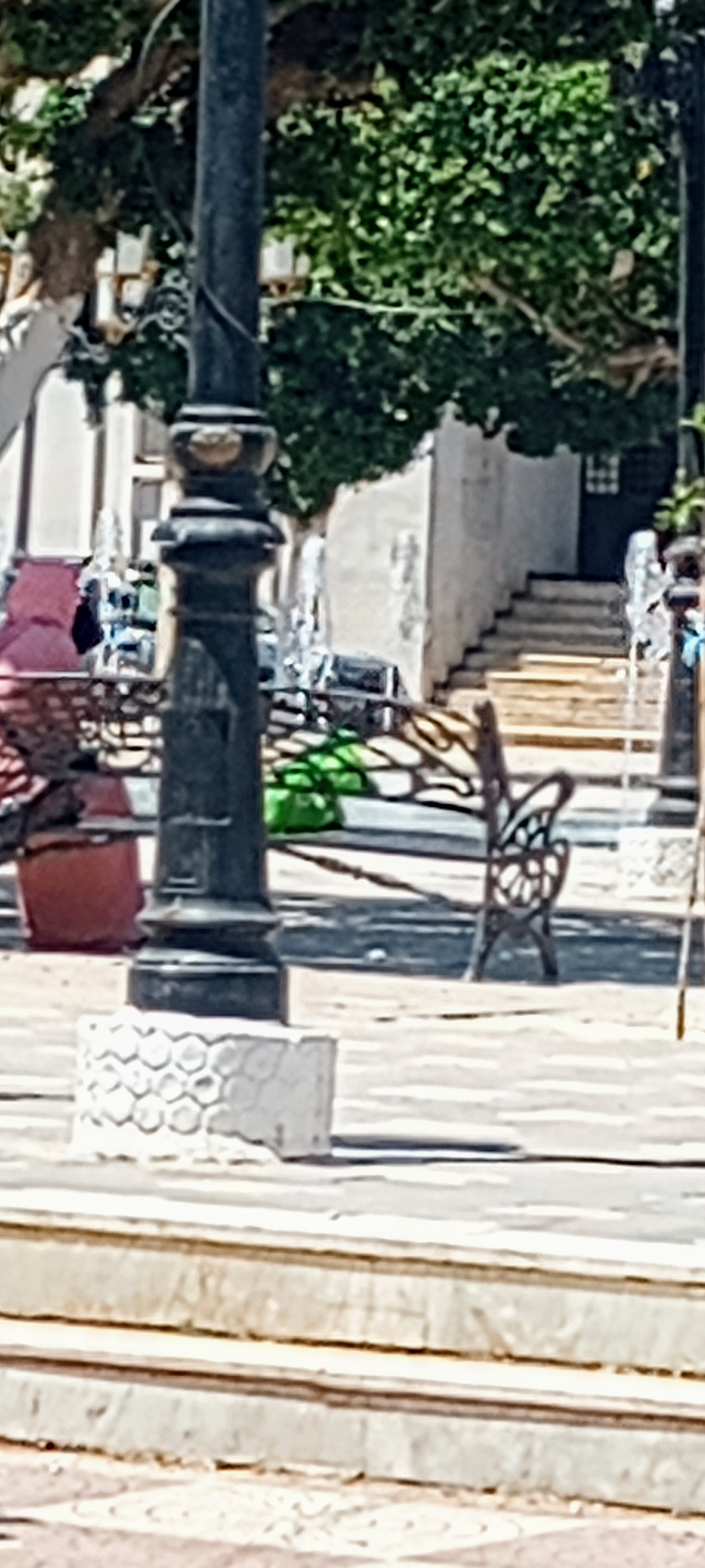 Photo n° 1 de l'avis de said.e fait le 01/07/2023 à 14:24