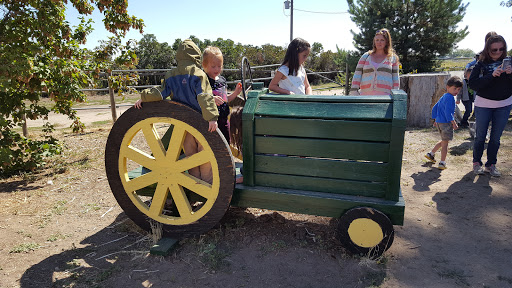Produce Market «Berry Patch Farms», reviews and photos, 13785 Potomac St, Brighton, CO 80601, USA