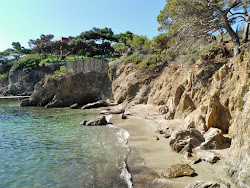 Bouvet beach'in fotoğrafı birden fazla küçük koy ile birlikte