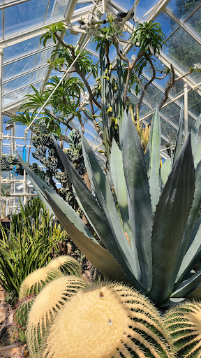 Park «Volunteer Park», reviews and photos, 1247 15th Ave E, Seattle, WA 98112, USA